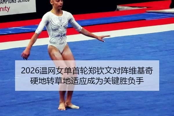 wen-wang-nv-dan-shou-lun-zheng-qin-wen-dui-zhen-wei-ji-qi-ying-di-zhuan-cao-di-shi-ying-cheng-wei-guan-jian-sheng-fu-2-522.jpg