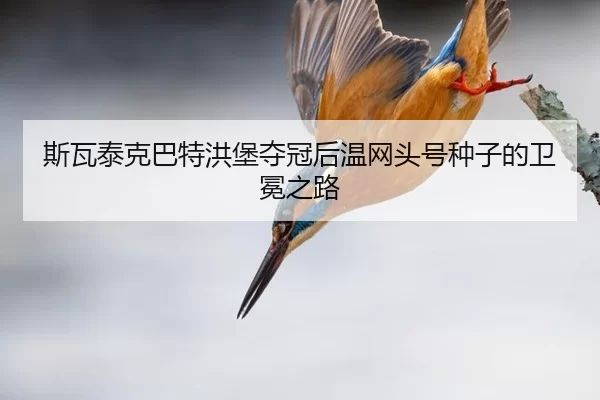 si-wa-tai-ke-ba-te-hong-bao-duo-guan-hou-wen-wang-tou-hao-zhong-zi-de-wei-mian-zhi-lu-2-988.jpg